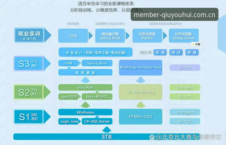 球友会官网官方下载完整指南：从入门到精通的使用攻略